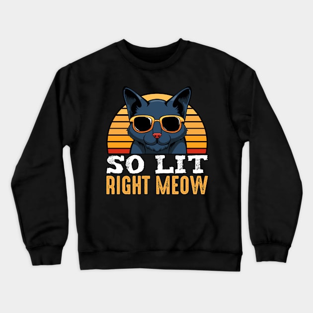 So Lit Right Meow Party Raver Cat Music Techno DJ Crewneck Sweatshirt by Funnyawesomedesigns